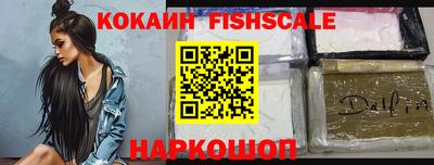 спиды Гай