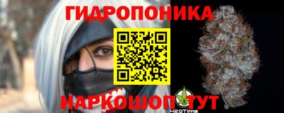 спиды Гай