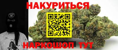 спиды Гай