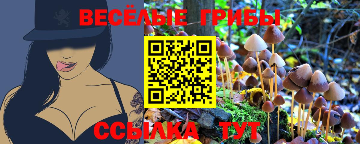 Галлюциногенные грибы Psilocybine cubensis Гулькевичи